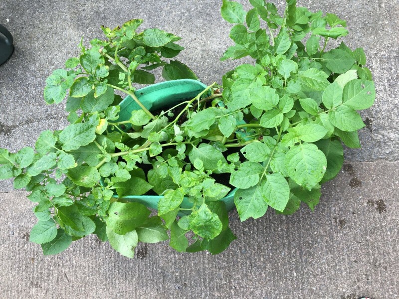 AC1297E4-E7C3-4B0E-AC0B-09F258D06876