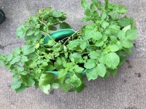 AC1297E4-E7C3-4B0E-AC0B-09F258D06876