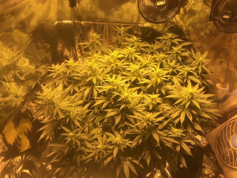 A8DCC14B-4597-4D05-A359-34CABA9331F3