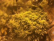 A8DCC14B-4597-4D05-A359-34CABA9331F3