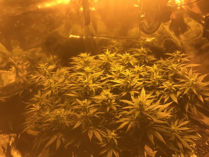 D8F4E3FB-2458-4F72-BA7D-794D12B2C641