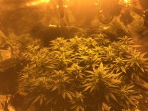 D8F4E3FB-2458-4F72-BA7D-794D12B2C641