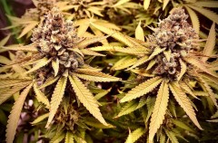 AF5B0D80-A5D6-4AF8-AFB4-4938468C3673