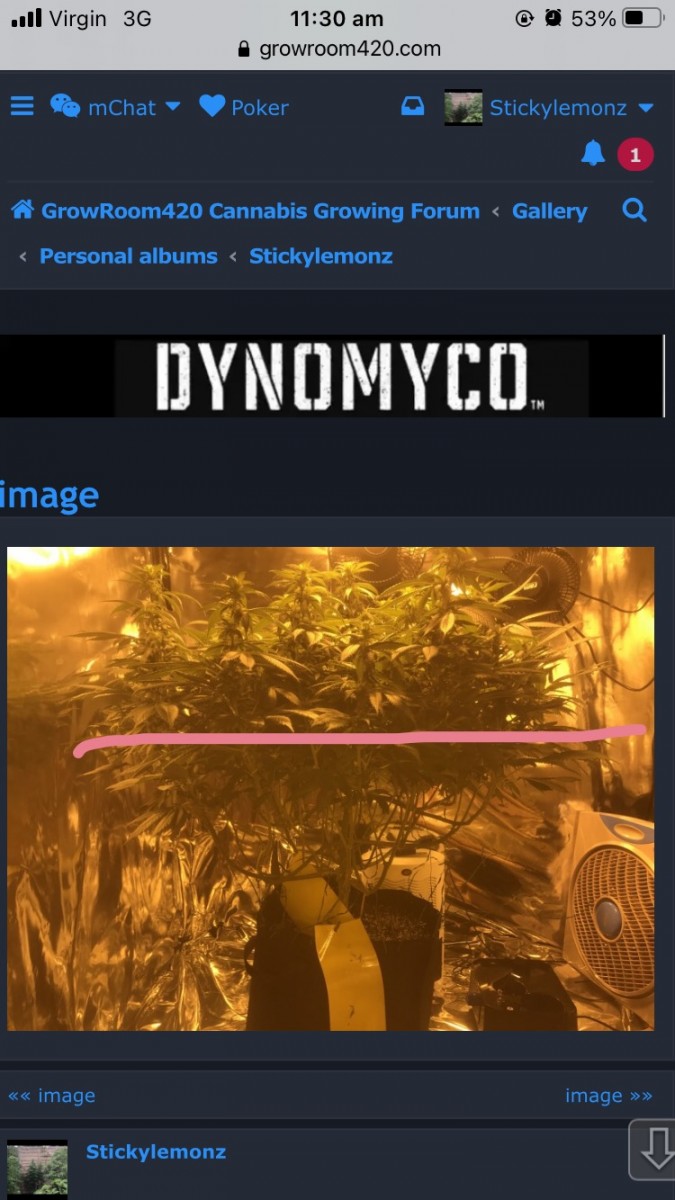 A23E53C4-790E-4F70-AB97-504B2AA2E9BD