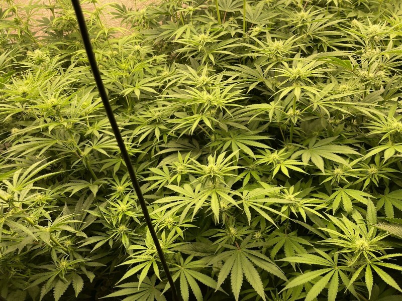 8A7E92AA-CA40-4EF7-BCB4-BE1D5200A2FF