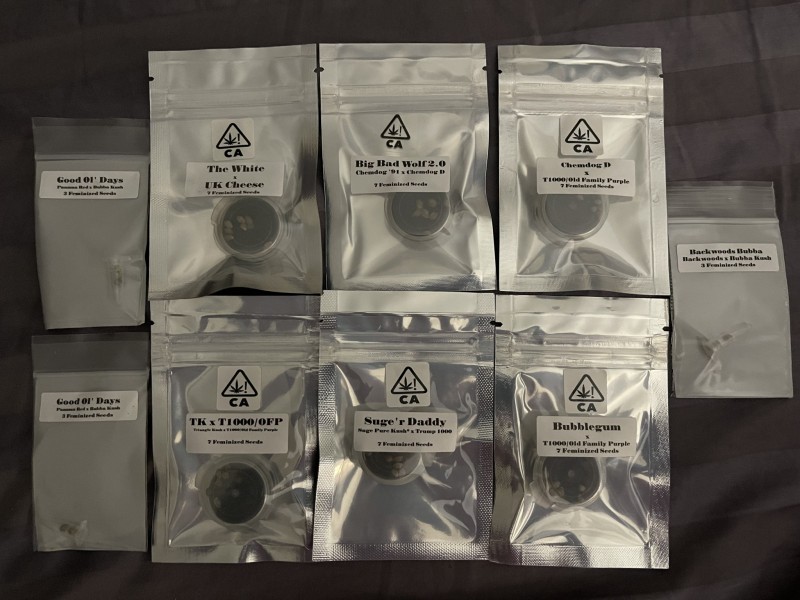 32BB2C6D-25E7-478F-B227-3273A6C5A609