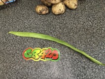 4BAE5620-7C2C-49C8-B1A1-18DD9EBB20FD