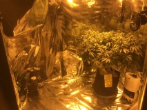 CEA65311-1D0F-4D13-BED9-154FFFAA0D0B