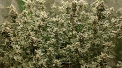 IMG_20210831_103700222_HDR