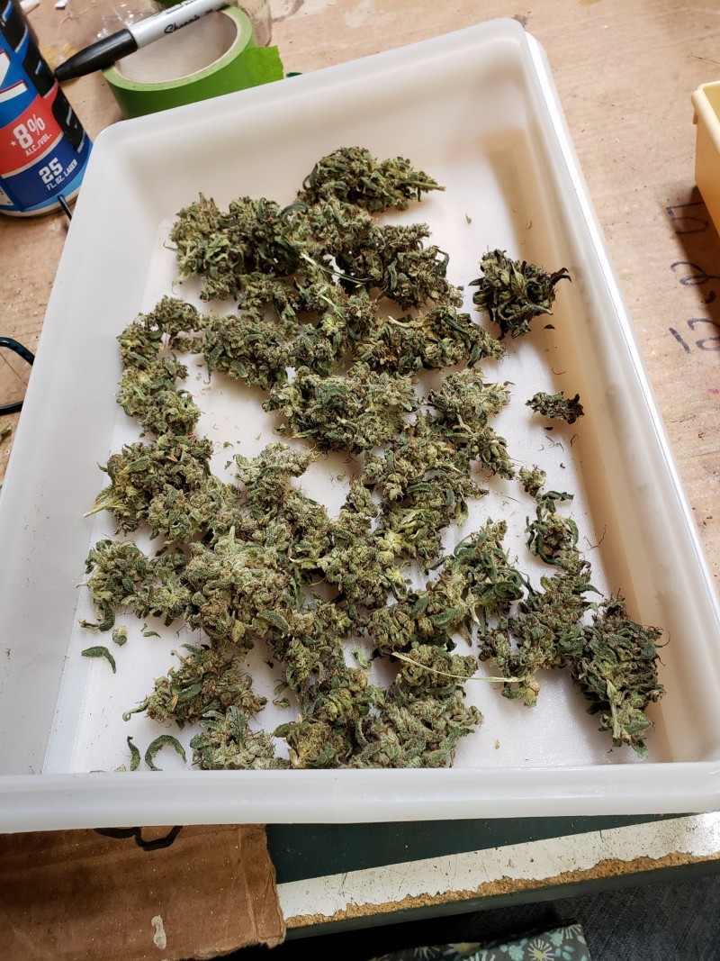 16304587555131514621220572774233