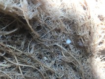 5D92CA6B-B9C0-4D2F-9F3C-9CE09C0E188C