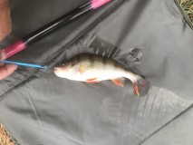 42711452-2757-457B-AEAE-9C033079D225