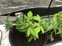 4C9B4CD2-DBEB-474E-B91F-44A7FBE0A33F