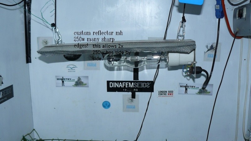 03 09 21 tangies cj etc 005