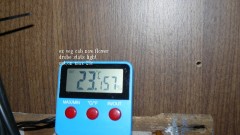 03 09 21 tangies cj etc 014