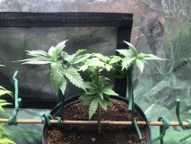 4B9A014D-E010-4D50-AB1D-55D9758E19EC