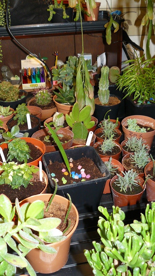 03 09 21 tangies cj etc 030