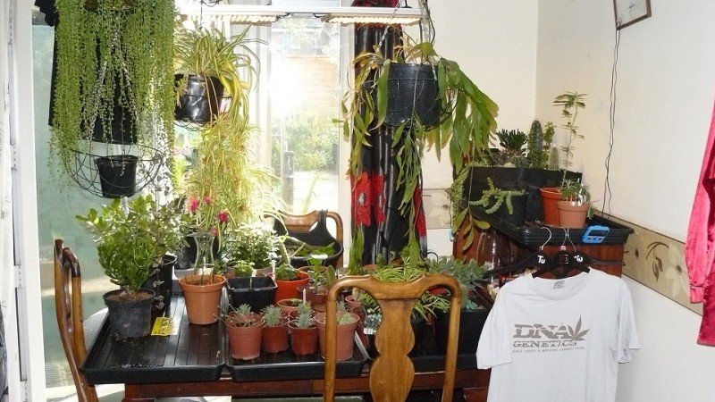 03 09 21 tangies cj etc 034