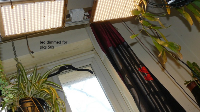 03 09 21 tangies cj etc 036