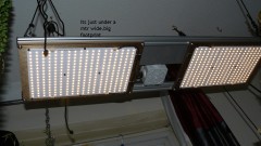 03 09 21 tangies cj etc 037