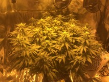 C2D51E98-29D9-4B03-B41F-37CBE7149765