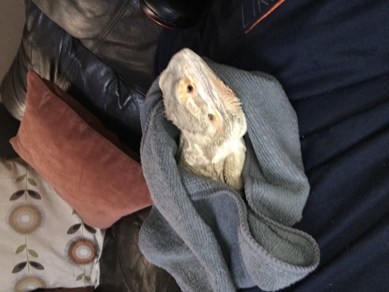 44A257F5-7F8A-47AA-AC47-A140B8A65B18