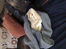 44A257F5-7F8A-47AA-AC47-A140B8A65B18