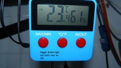 tangies etc day 8-9 flower vks 009