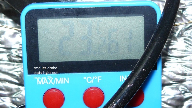 tangies etc day 8-9 flower vks 025