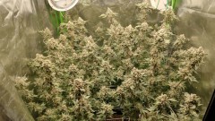 IMG_20210905_090219118_HDR