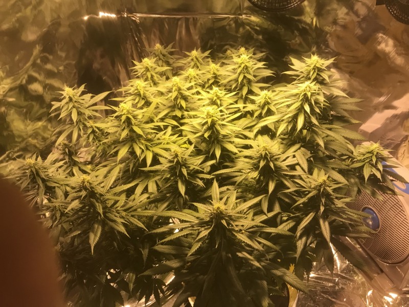 47D4899B-42C5-4848-9132-DBE4E5E7AF58