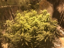 71187D98-A5C1-4988-BBAE-C9061F0EAFAC