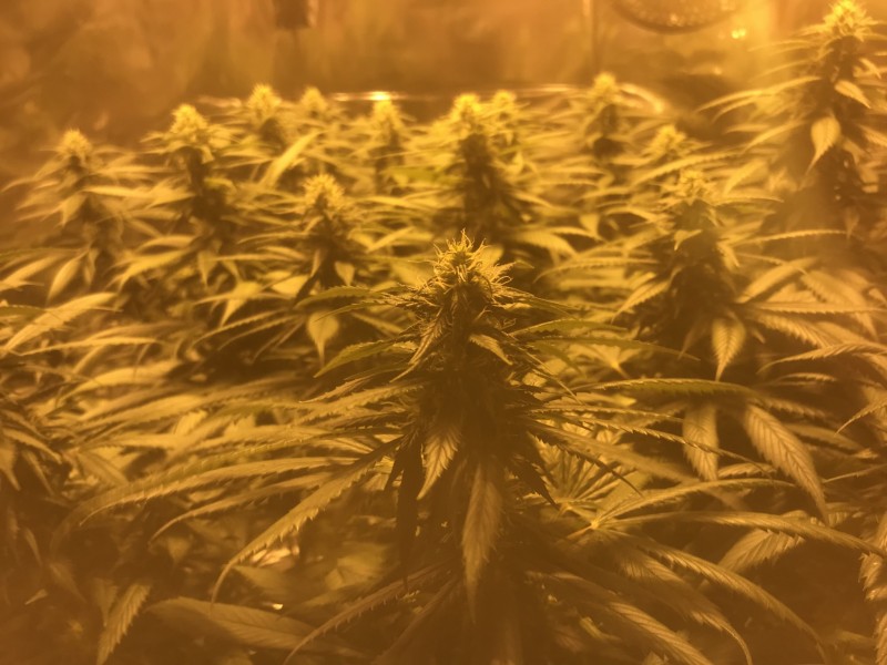 8FE7854B-4243-49B7-8657-AD7F2E5B94F7