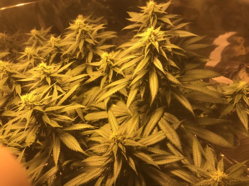 C614B067-7073-42AC-B17C-499E0B5E6CE1