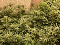 F769A6B2-6457-4C8C-8B1F-6486817BC3AF