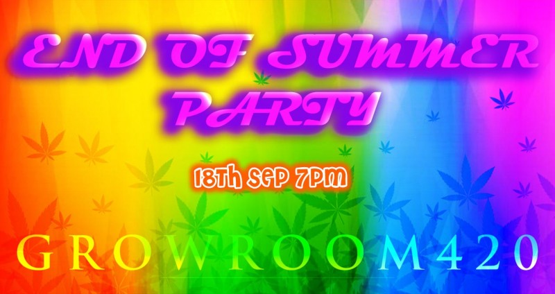 mn party drops  ad 3