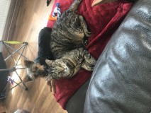 6BCD3F8C-EA2E-4F68-A5ED-817B491B4F05