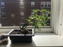 C20D9E45-B006-4119-821E-2A156AA2BC7D