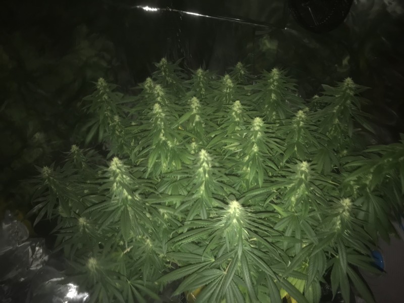 DCAED786-2262-450D-A0C8-4CEDC135B953