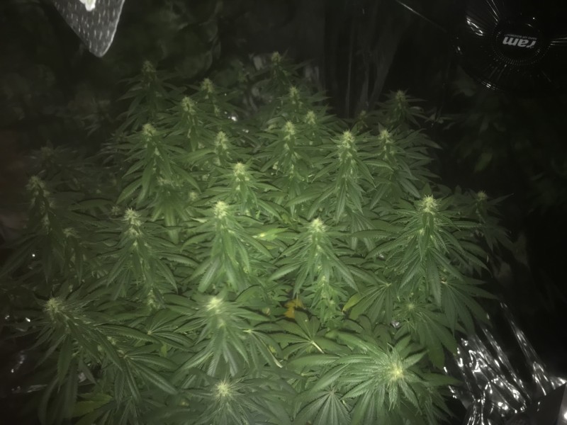 B2C4C1F0-9487-40BF-9C98-9FB9C64A32A0