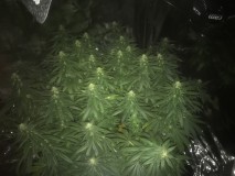 B2C4C1F0-9487-40BF-9C98-9FB9C64A32A0