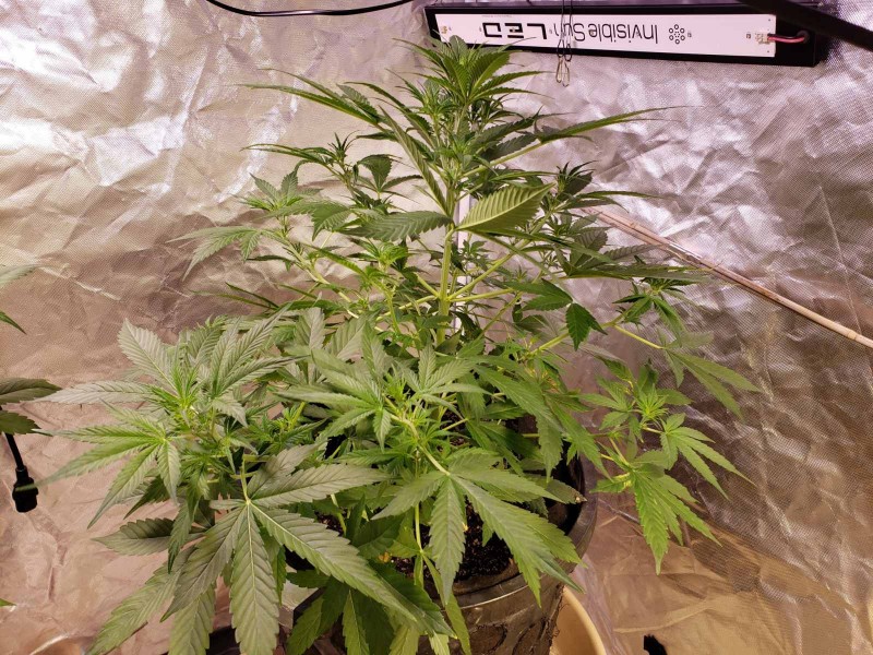 1631133701650591667187732094750