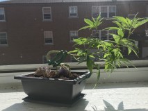 3EBCC5AD-D3E5-436D-98A5-BDBC2041EA47