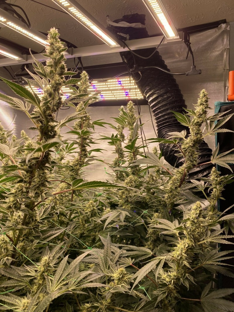 F889271D-78E7-4F5C-A3C8-405C68134EBB