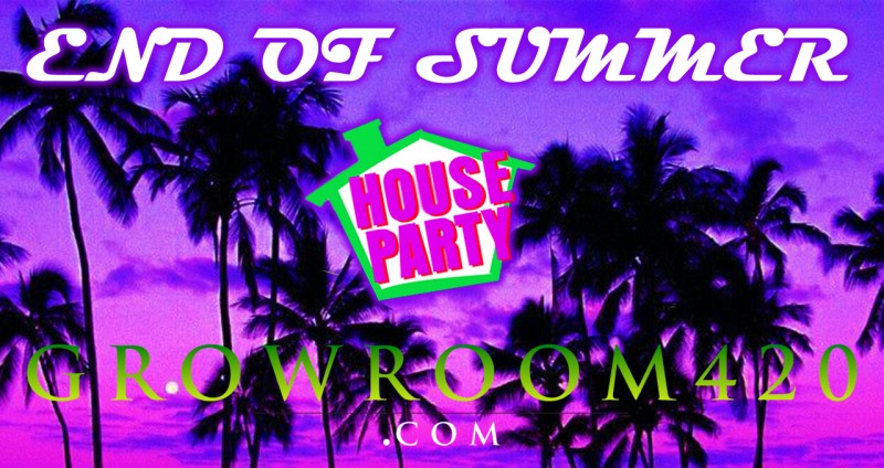 mn end of summer party ad5