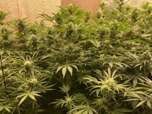 E4144E6B-45DF-4A57-8DB8-E005709B8241