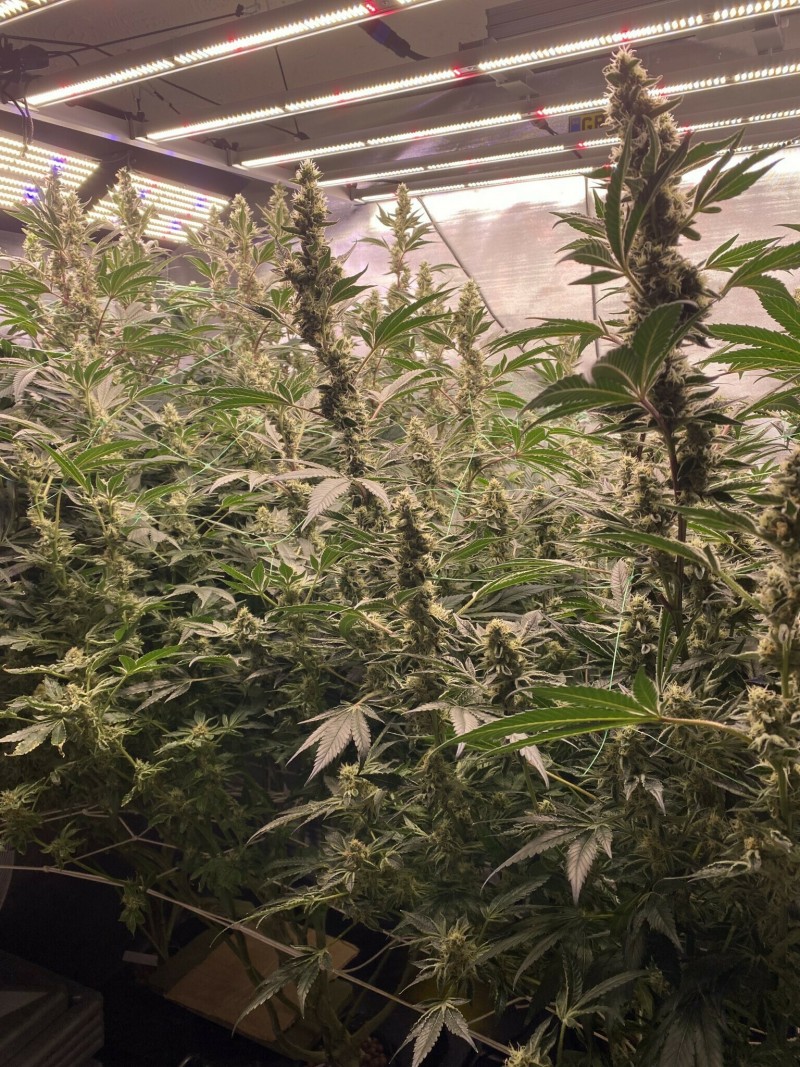 608B36E4-8698-46B1-9F05-816F08995595