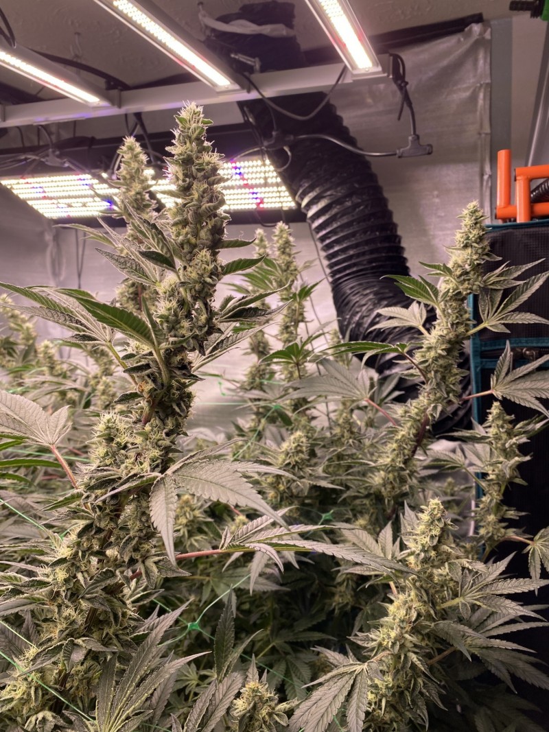 BF42B313-0EF1-4B60-91BB-3F7AE363B9AC