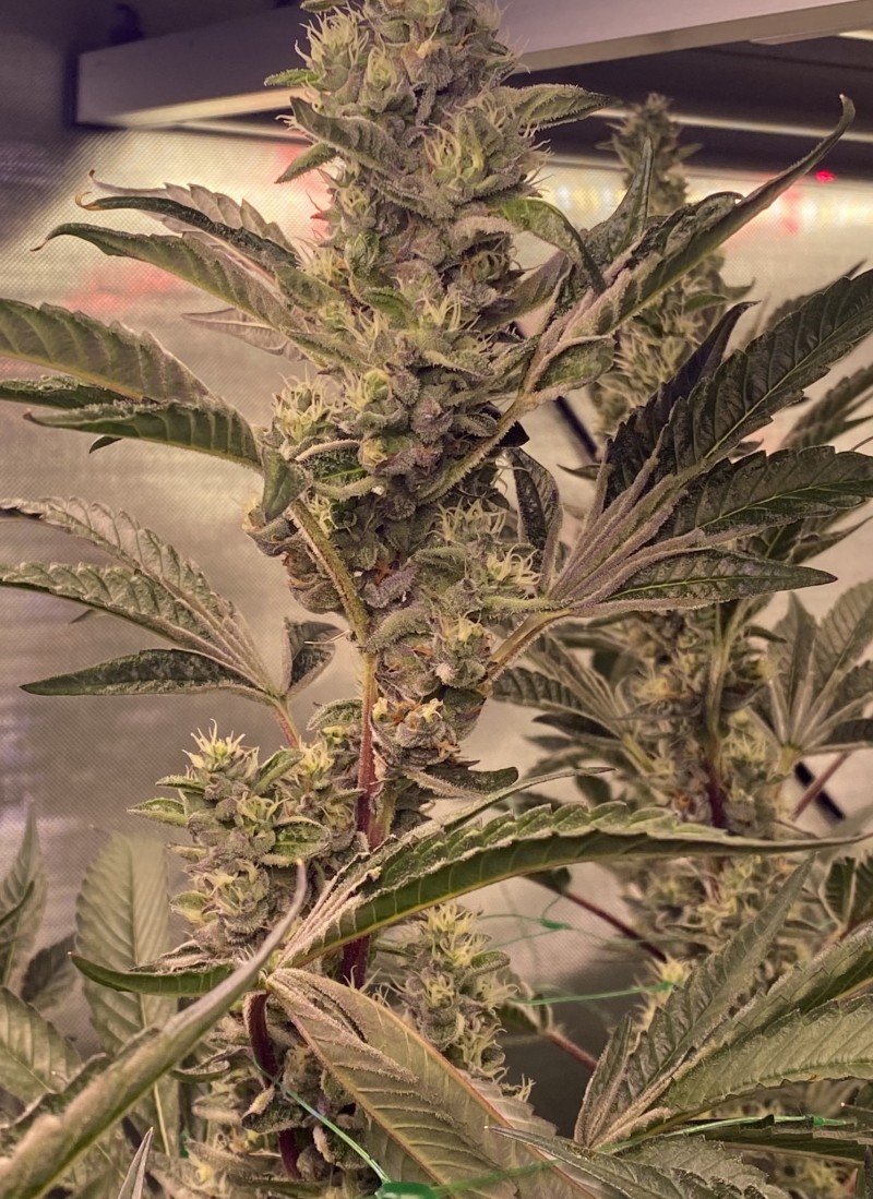 04E99FBE-A82A-4051-B2EC-8709C6B633F2