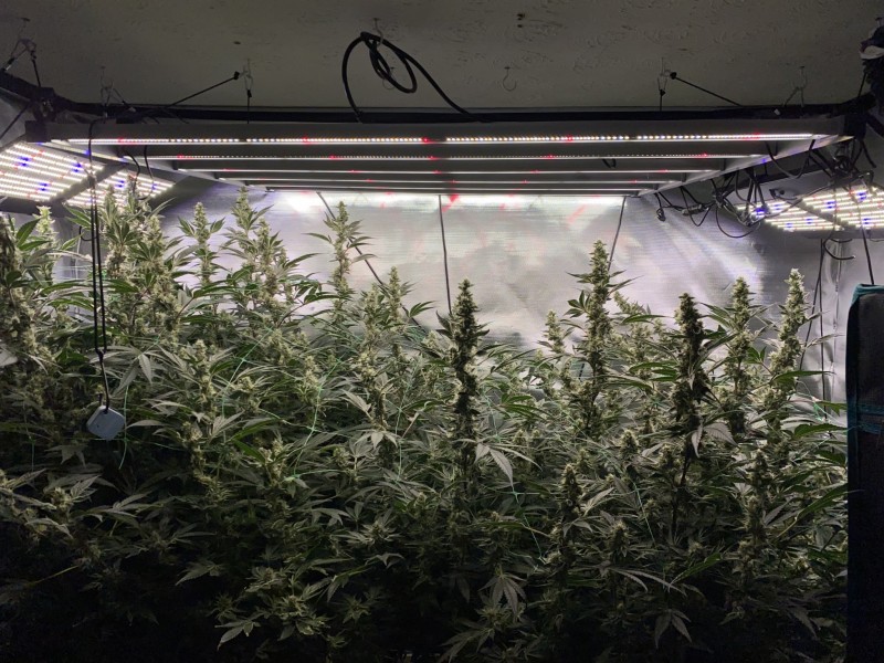 787BB227-F017-48DA-9C72-F74BB1BB0C83